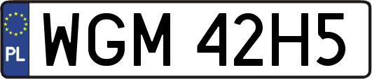 WGM42H5