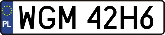 WGM42H6