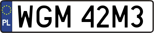 WGM42M3