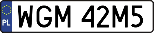 WGM42M5