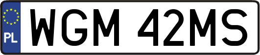 WGM42MS