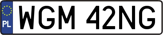 WGM42NG