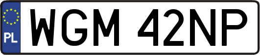 WGM42NP