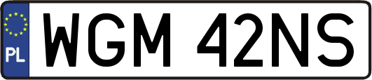 WGM42NS