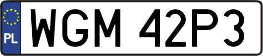 WGM42P3
