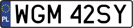 WGM42SY