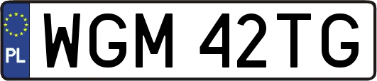 WGM42TG