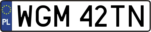 WGM42TN