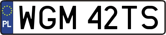 WGM42TS