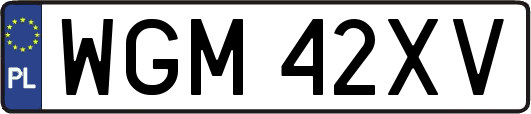 WGM42XV