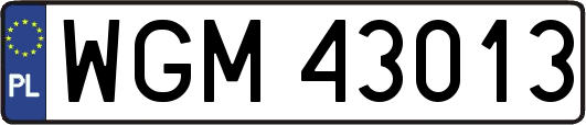 WGM43013