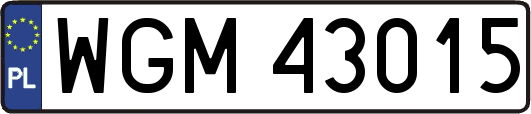 WGM43015
