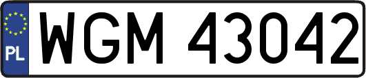 WGM43042