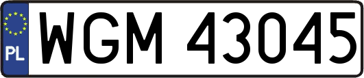 WGM43045