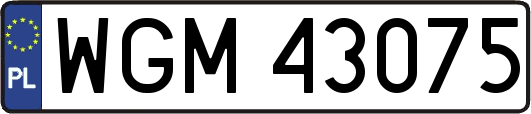 WGM43075