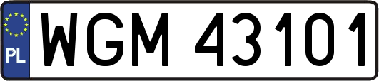 WGM43101