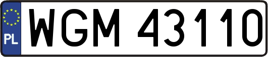 WGM43110
