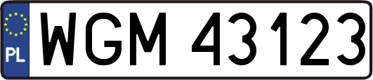 WGM43123