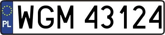 WGM43124