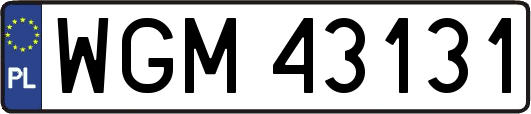WGM43131