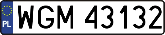 WGM43132