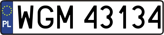 WGM43134