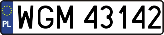 WGM43142