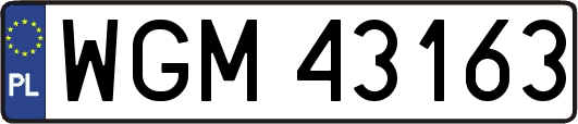WGM43163
