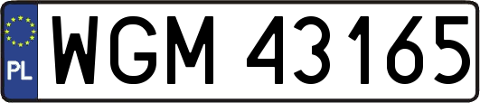 WGM43165