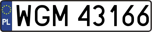 WGM43166