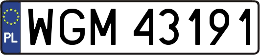 WGM43191