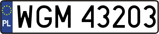 WGM43203