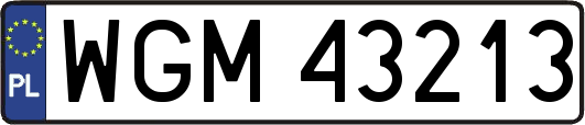 WGM43213