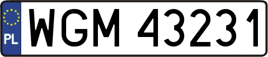 WGM43231