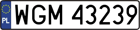 WGM43239