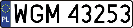 WGM43253