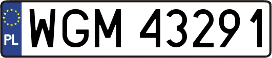 WGM43291