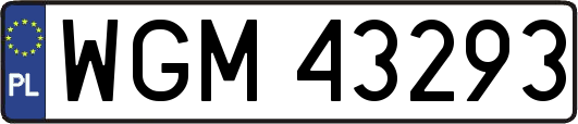 WGM43293