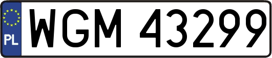 WGM43299