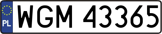 WGM43365