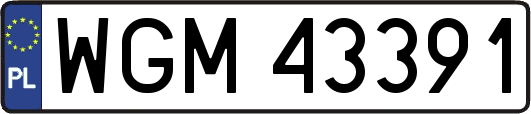 WGM43391