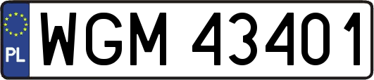 WGM43401