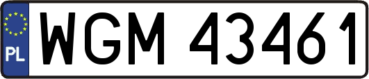 WGM43461