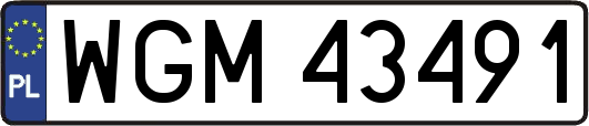 WGM43491