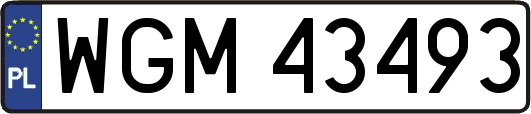 WGM43493