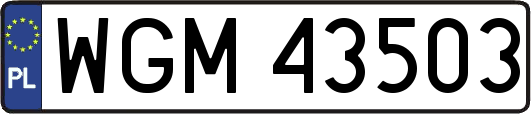 WGM43503