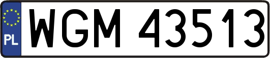 WGM43513