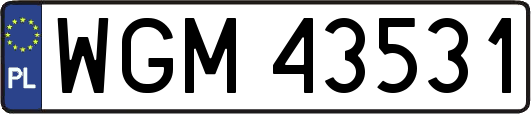 WGM43531
