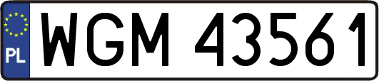 WGM43561