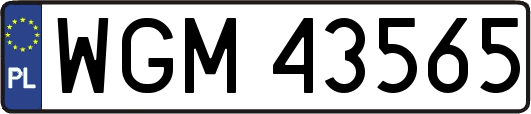 WGM43565